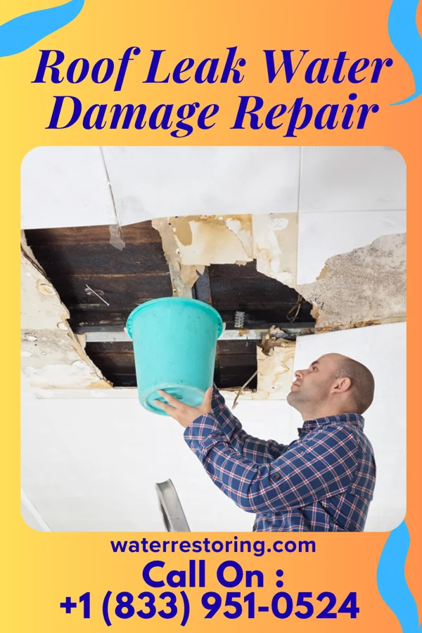 Roof Leak Water Damage Repair in Sammamish, WA